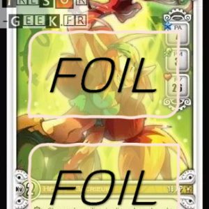 Coa Gulay FOIL [Bonta & Brâkmar 9/320 WAKFU]