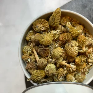 Brede Mafane (Acmella oleracea, anciennement Spilanthes oleracea)